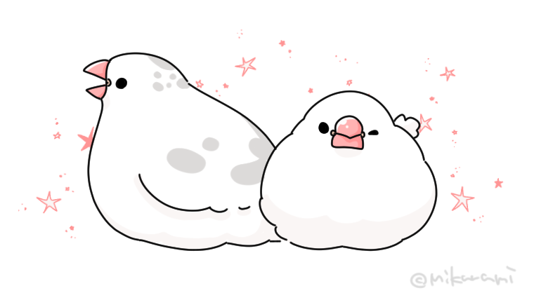 文鳥を飼う前に 準備するもの・こと、知っておきたいこと